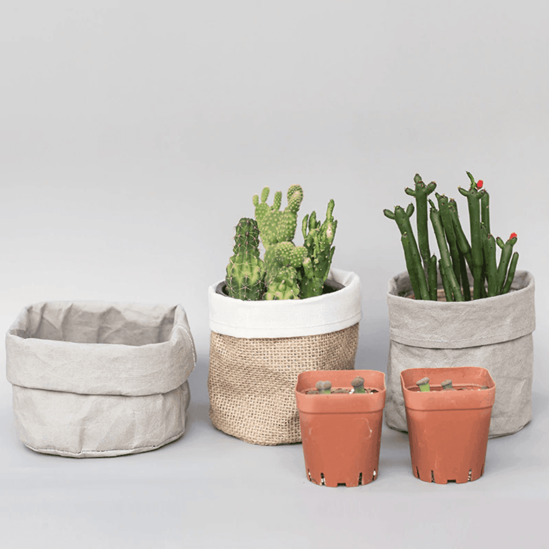 Rustic Cloth Planter Basket | Sage & Sill
