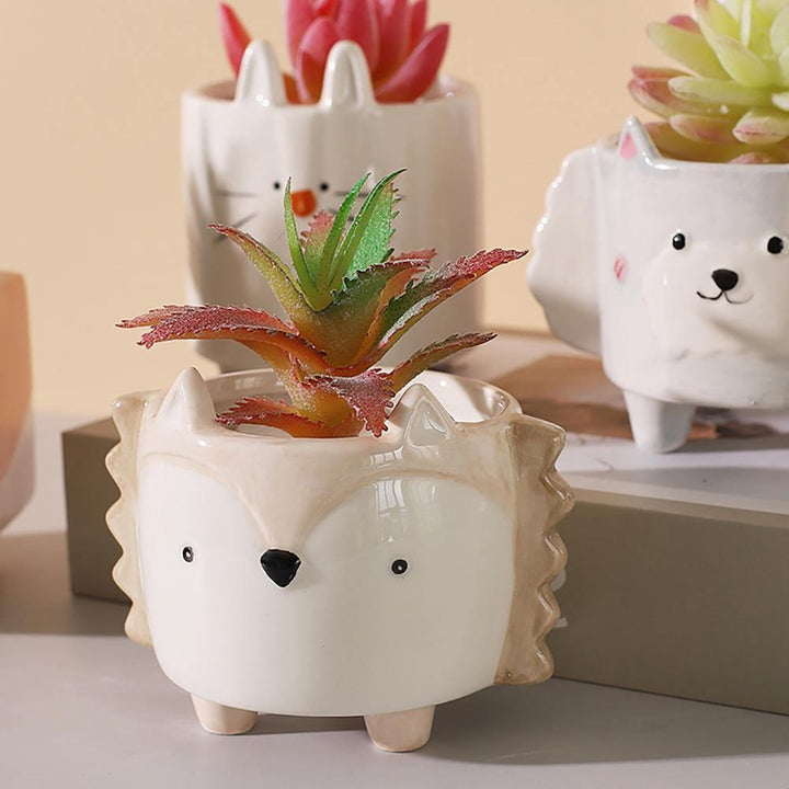 Boxy Animal Ceramic Succulent Planters Hedgehog | Sage & Sill