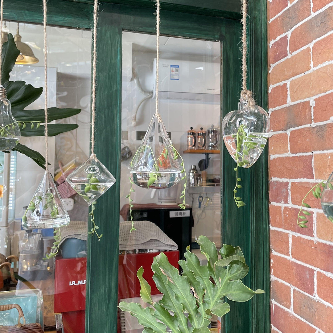3-Piece Glass Hanging Terrarium Vases | Sage & Sill