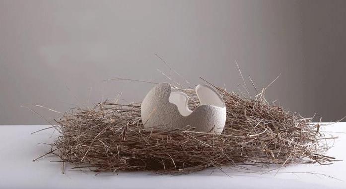 Hani White Cracked Egg Vases | Sage & Sill