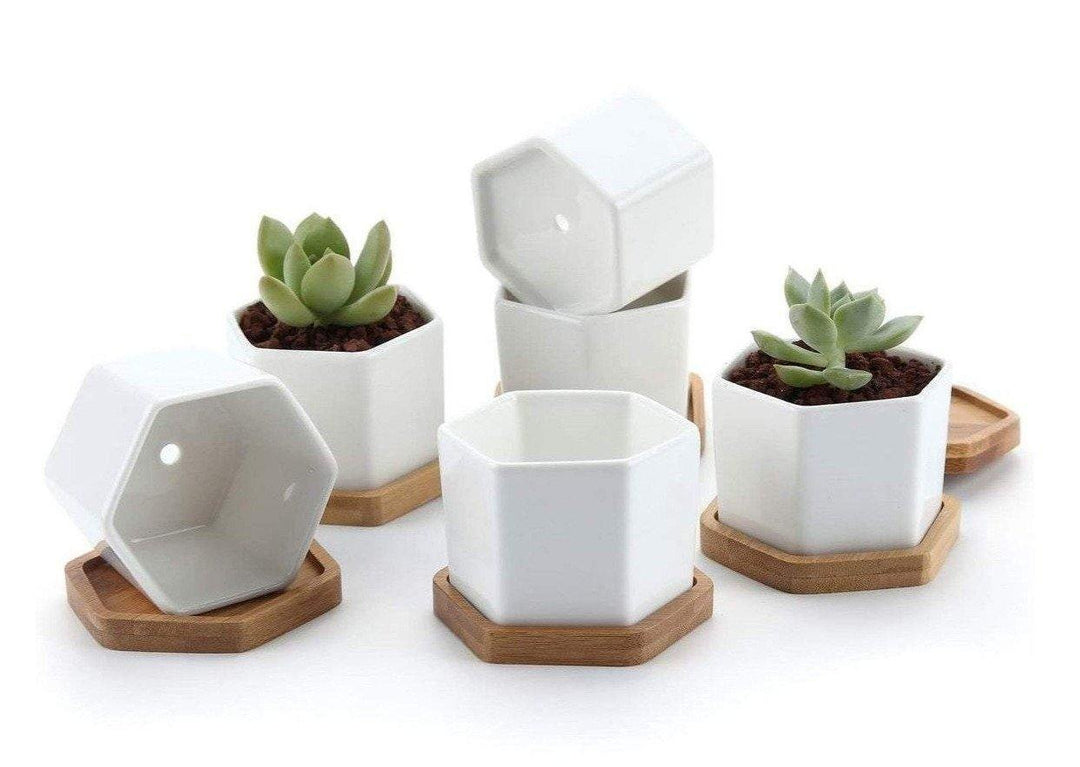 Succulent Pots, White Mini Ceramic Flower Planter Pot with Bamboo Tray - Plants Not Included, Size: 7*4cm
