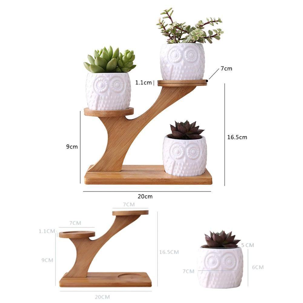 Tiered Ceramic Owl Succulent Planters with Bamboo Shelf | Sage & Sill