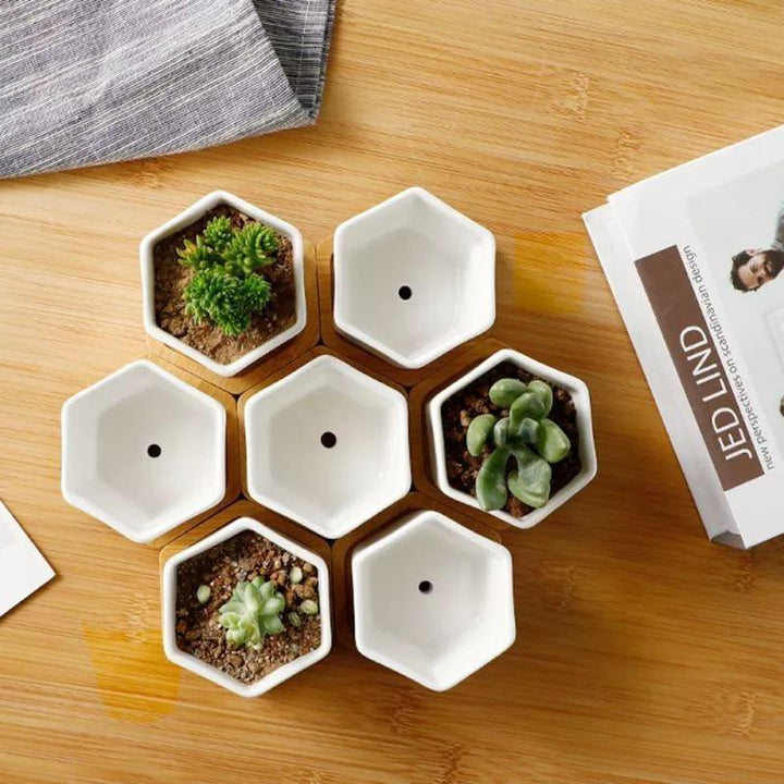 Hexagon Ceramic Succulent Planter with Bamboo Saucer | Sage & Sill