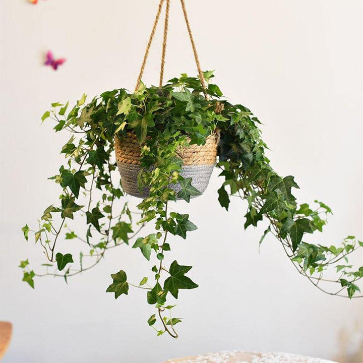 Woven Jute Rope Hanging Planter Basket Grey | Sage & Sill