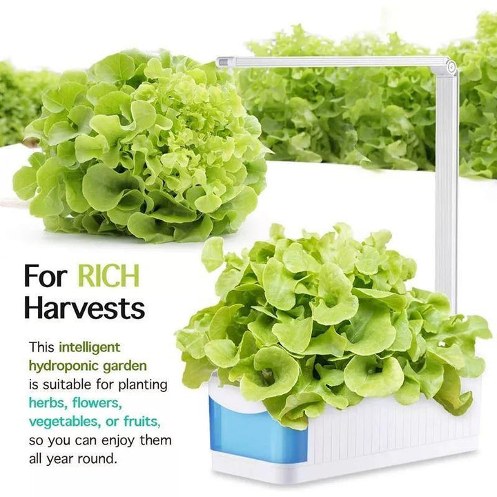 Indoor Herb Garden Hydroponic LED Planter Kit | Sage & Sill
