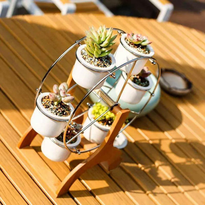 Wooden Ferris Wheel with Ceramic Succulent Planters | Sage & Sill