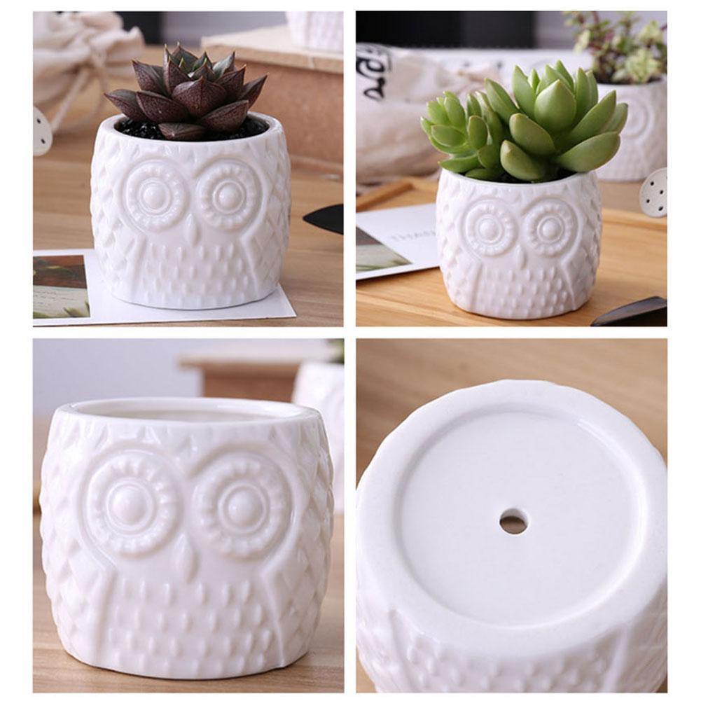 Tiered Ceramic Owl Succulent Planters with Bamboo Shelf | Sage & Sill