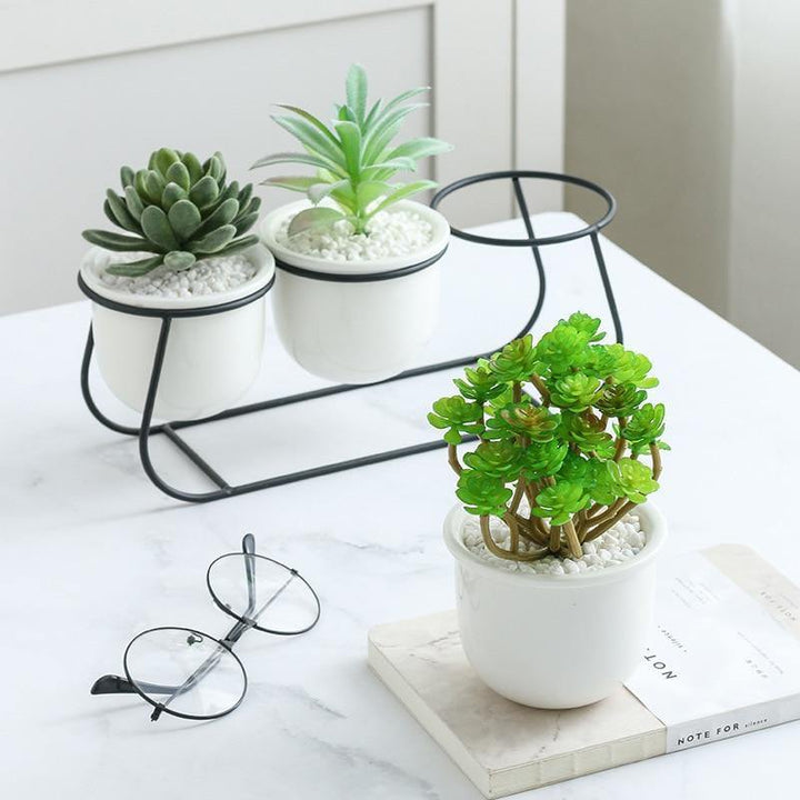White Ceramic Succulent Planter Trio with Metal Sleigh Stand | Sage & Sill