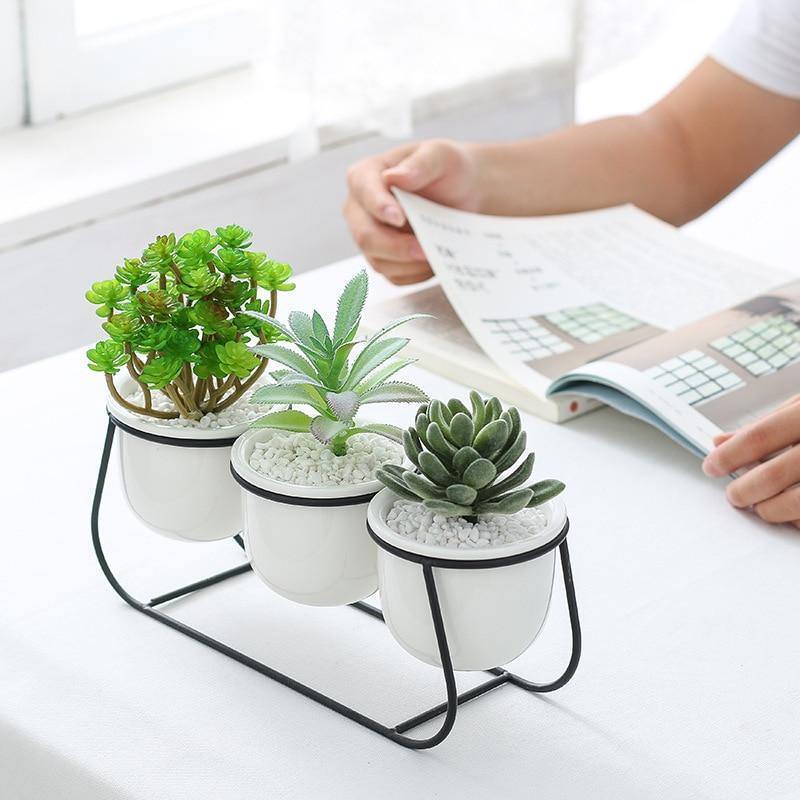White Ceramic Succulent Planter Trio with Metal Sleigh Stand Black | Sage & Sill