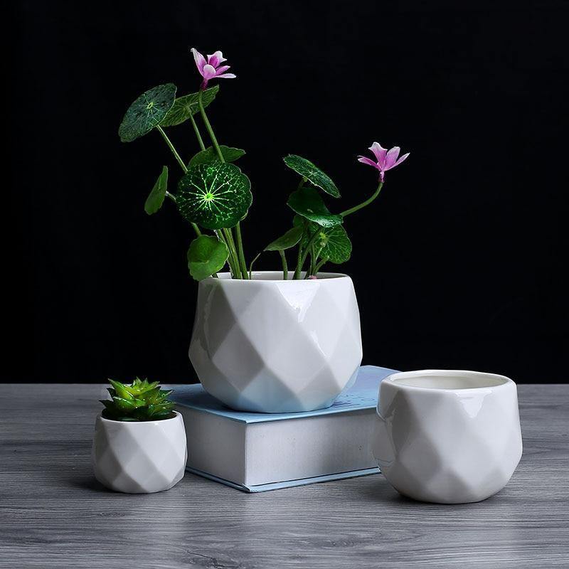 Rounded Diamond Ceramic Succulent Planters | Sage & Sill