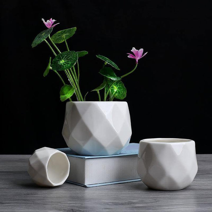 Rounded Diamond Ceramic Succulent Planters | Sage & Sill