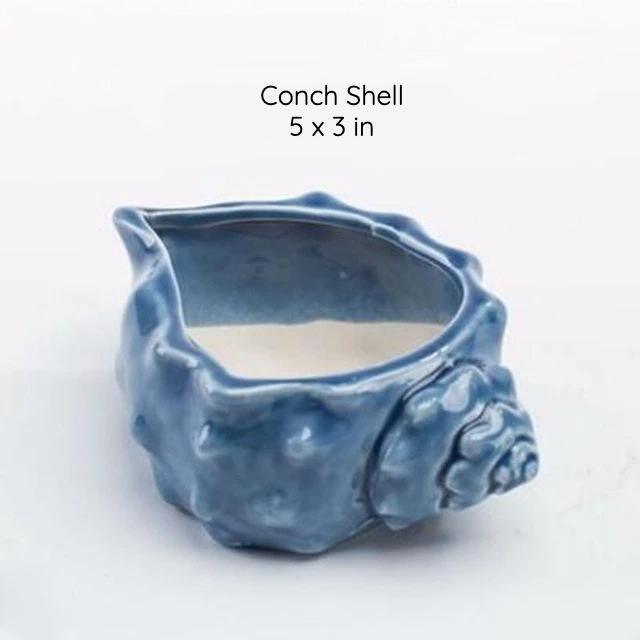 Under the Sea Planters Conch Shell / Blue | Sage & Sill
