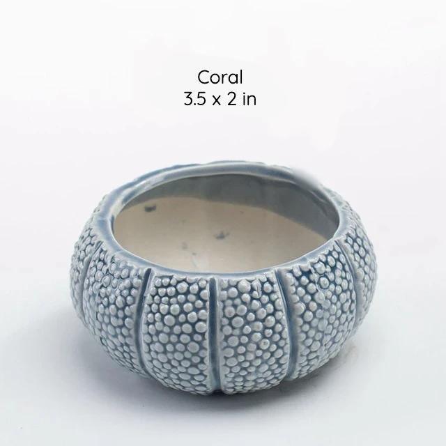 Under the Sea Planters Coral / Blue | Sage & Sill