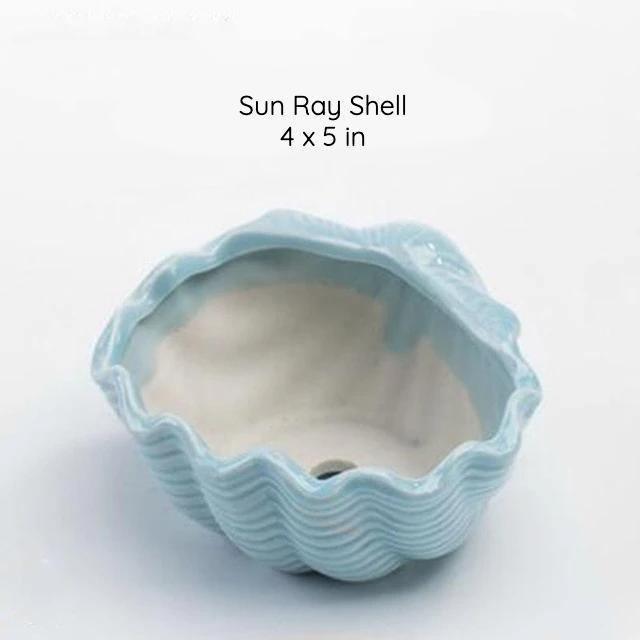 Under the Sea Planters Sun Ray Shell / Teal | Sage & Sill
