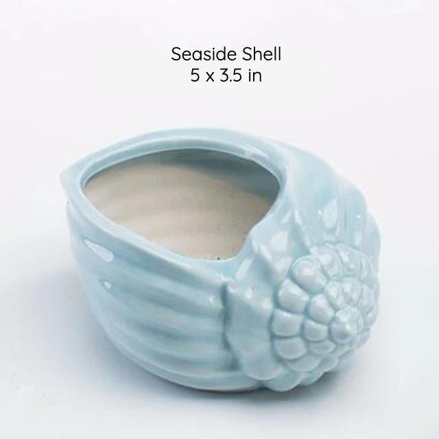 Under the Sea Planters Seaside Shell / Teal | Sage & Sill