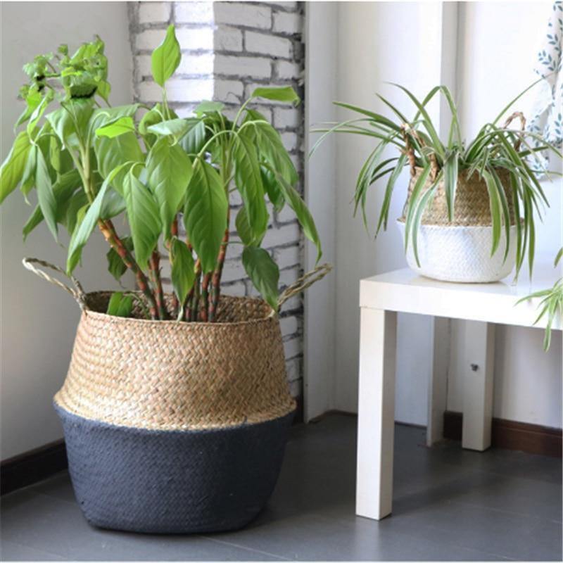 Handmade Rattan Planter or Storage Basket with Handles | Sage & Sill