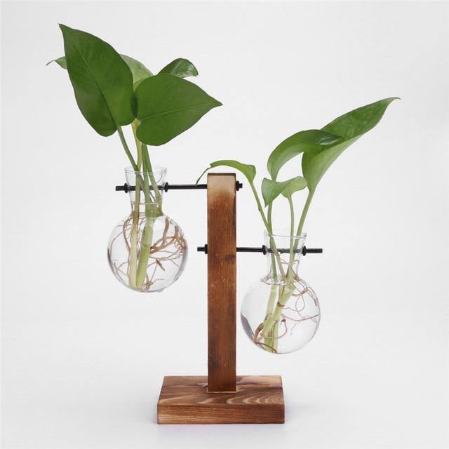 Glass Propagation Vase with Vertical Wooden Stand | Sage & Sill