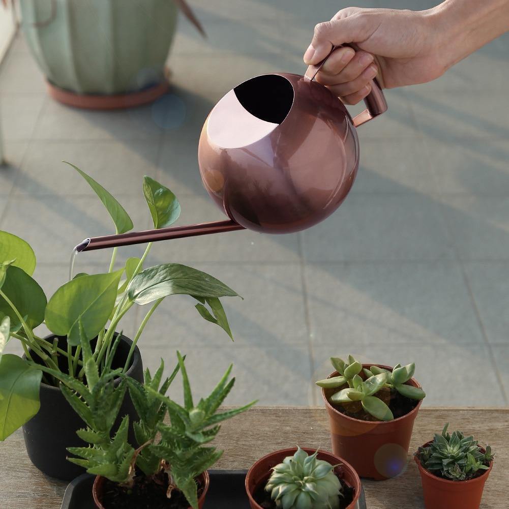 Spherical Gooseneck Stainless Steel Watering Can – Sage & Sill