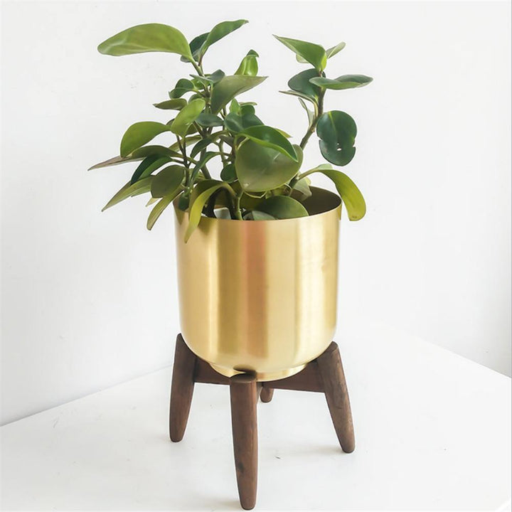 Gold Metal Planter with Wooden Plant Stand | Sage & Sill