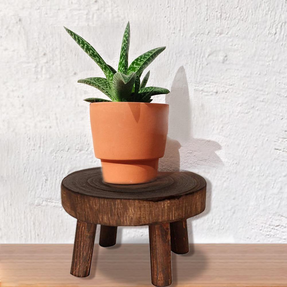 Wooden Plant Stand Stool | Sage & Sill