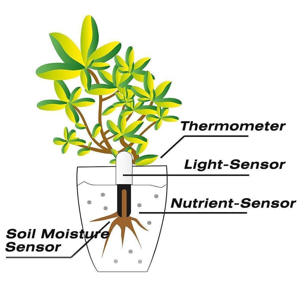 Humidité Compteur Plante Testeur de Sol Smart Plantureuse