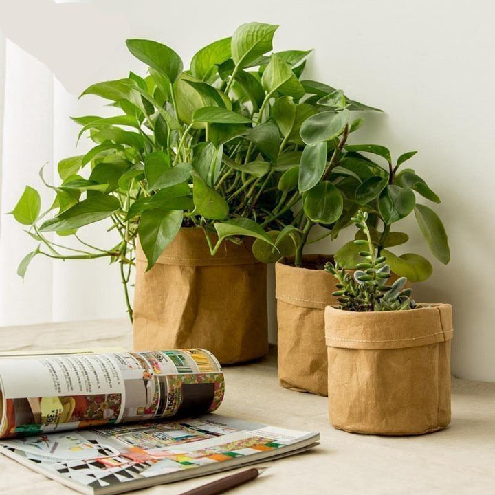 Waterproof Eco-Friendly Paper Planter Bag | Sage & Sill