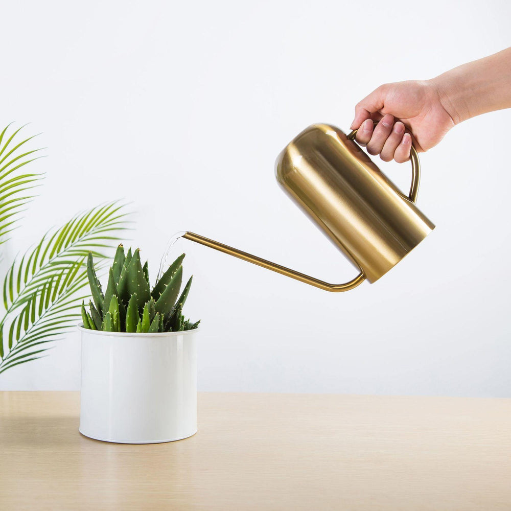 Bia Stainless Steel Watering Can Gold | Sage & Sill