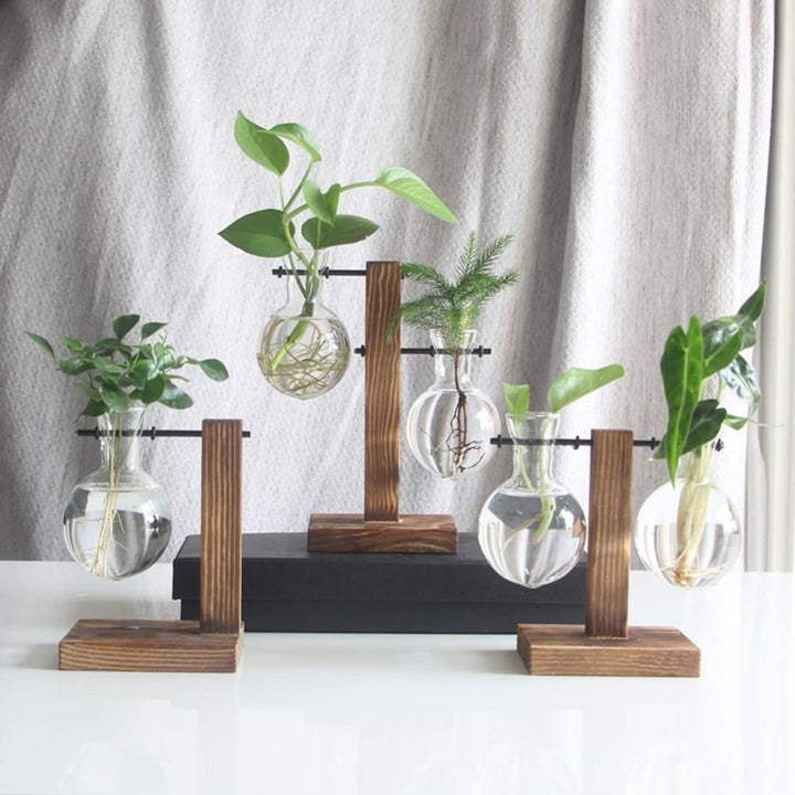 Glass Propagation Vase with Vertical Wooden Stand | Sage & Sill