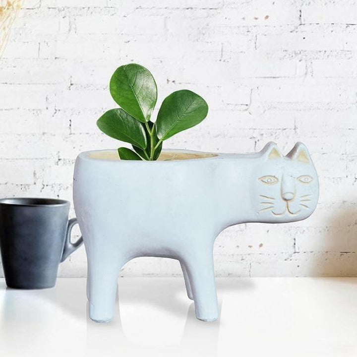 Glazed Ceramic Kitty Planter LightCyan | Sage & Sill