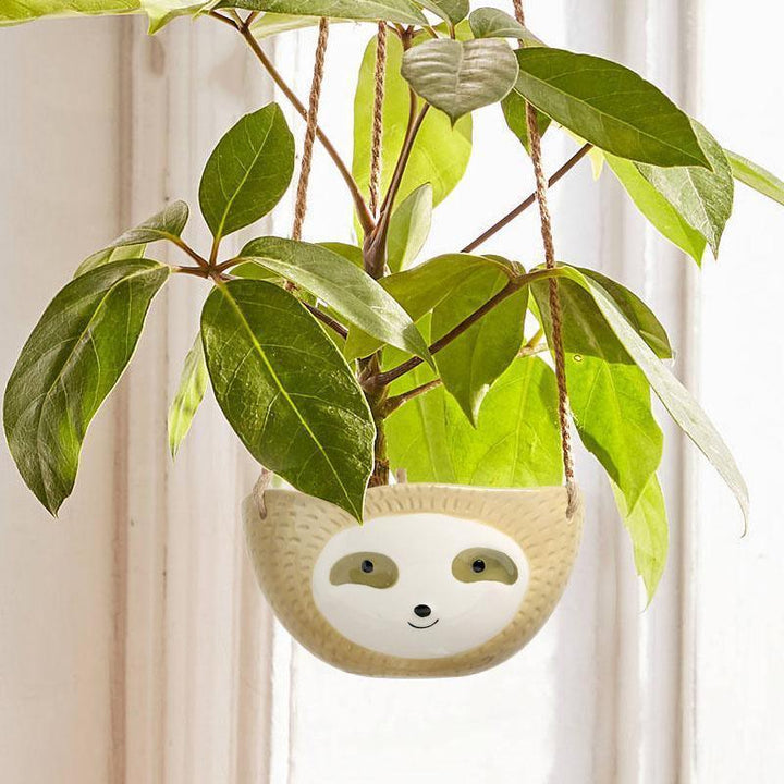 Sloth Ceramic Hanging Succulent Planter Tan / Dish | Sage & Sill