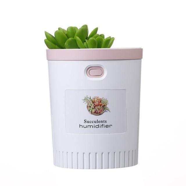 Mini Succulent USB Humidifier | Sage & Sill