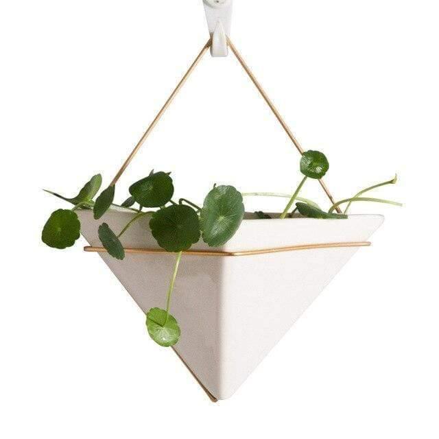 Geometric Hanging Terrarium Triangle | Sage & Sill