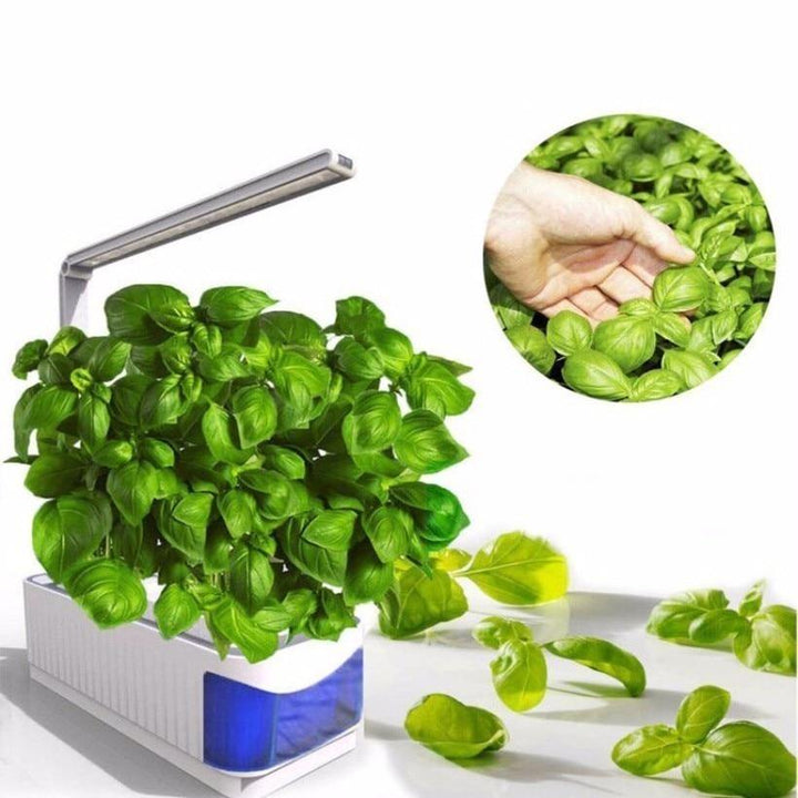 Indoor Herb Garden Hydroponic LED Planter Kit | Sage & Sill
