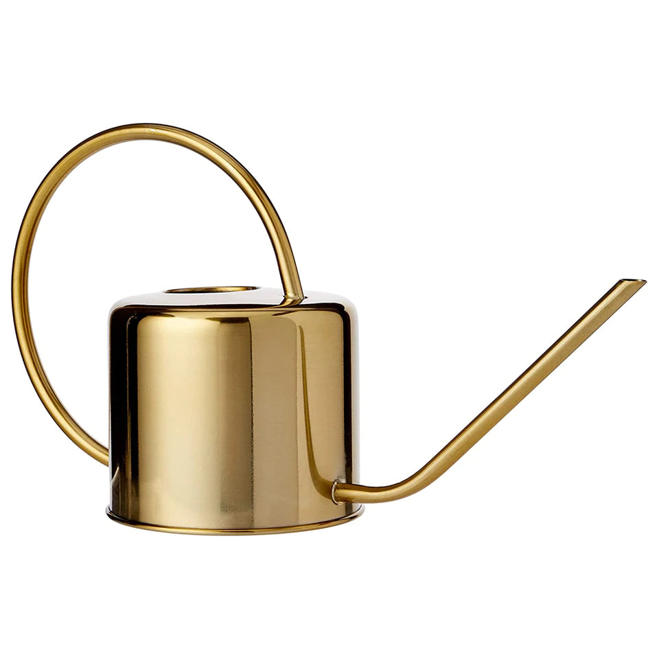 Vintage Brass Watering Can | Sage & Sill