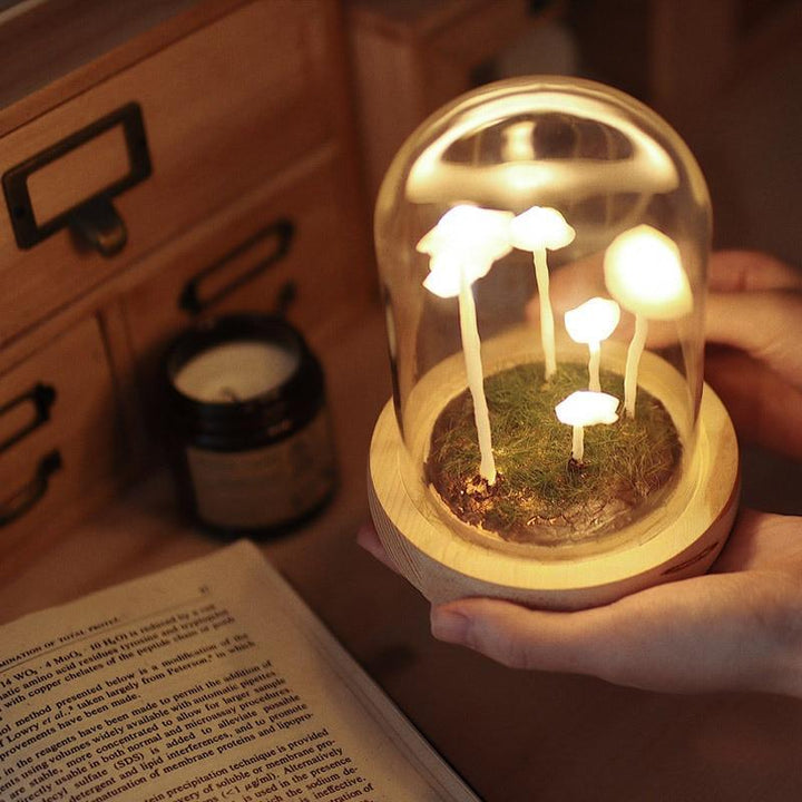 Enchanted Mushroom Lamp DIY Kit | Sage & Sill